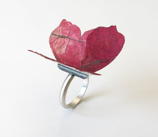 Butterfly Ring